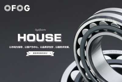 德國OFOG軸承品牌網(wǎng)站案例