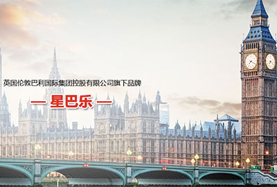 星巴樂紙尿褲品牌網(wǎng)站建設(shè)案例