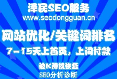 澤民SEO博客網站建設案例